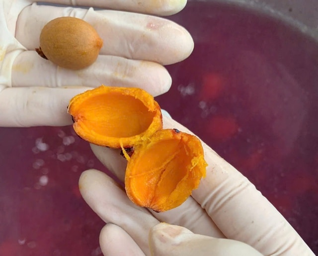 Thức quà dân dã của người nghèo xưa, nay có giá hàng trăm nghìn đồng mỗi cân- Ảnh 4.