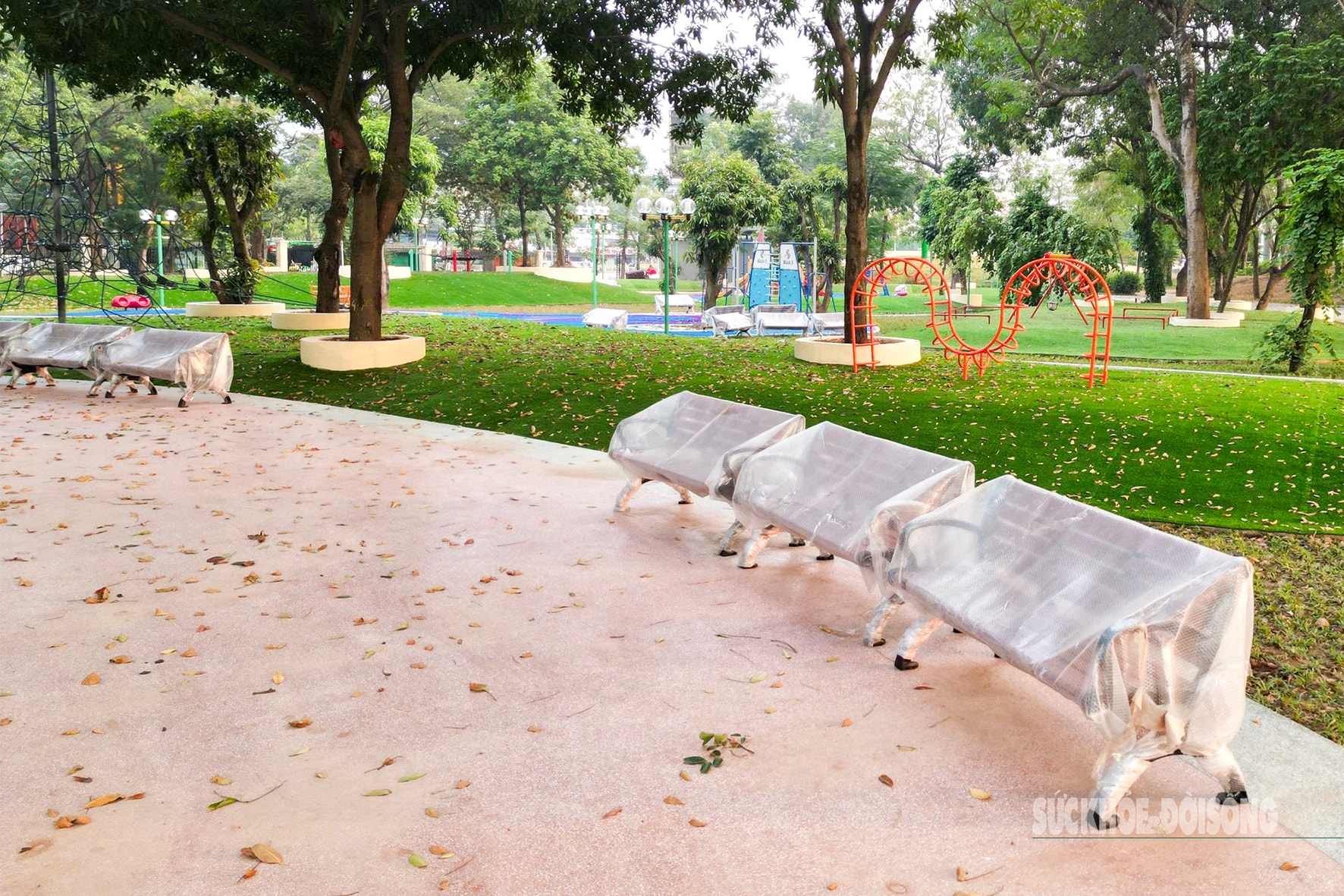 Công viên Nghĩa Đô 'lên dây đàn' giữa lòng Hà Nội- Ảnh 4.