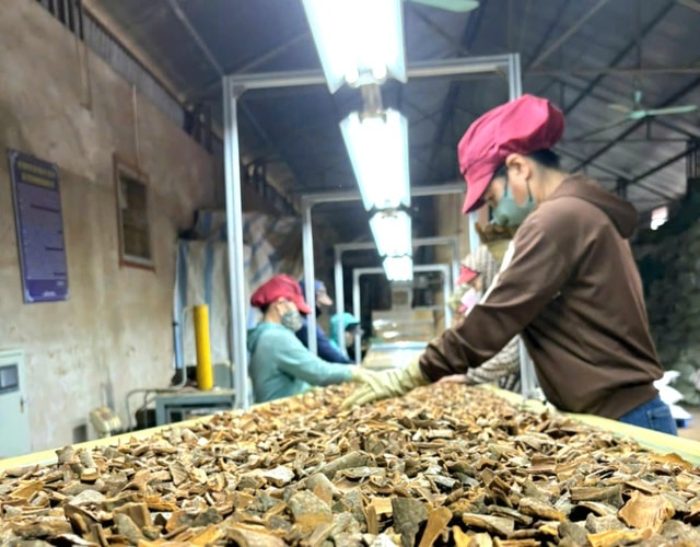 Thưởng Tết Bính Ngọ 2026: Áp lực tâm lý cho cả người lao động và người sử dụng lao động- Ảnh 3.