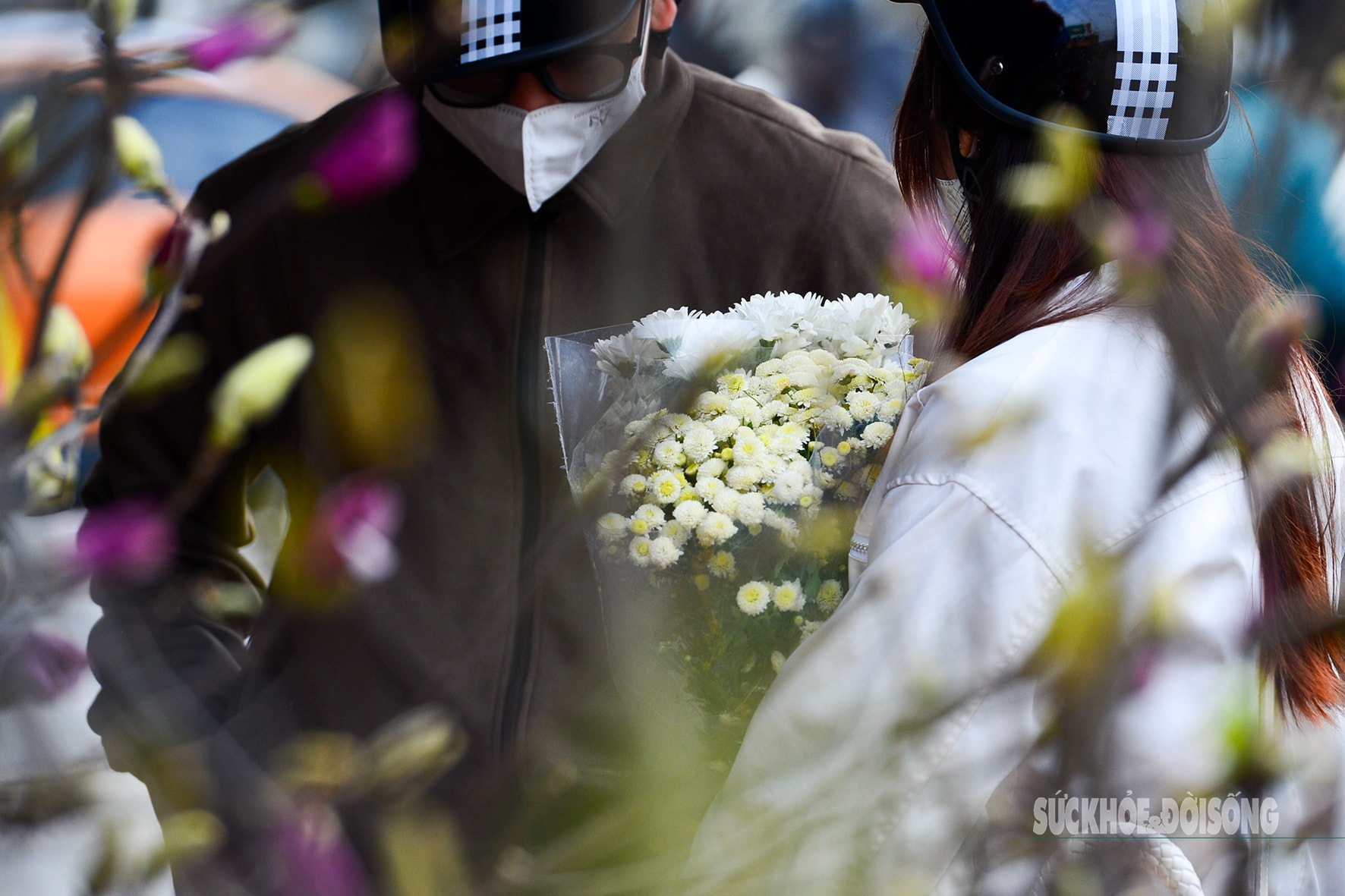 Hoa đào, lê, mận bung nở khoe sắc sớm dù 2 tháng nữa mới đến Tết Nguyên đán- Ảnh 11.