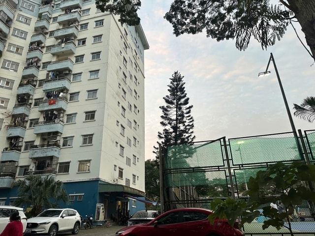 Người dân khổ sở vì sống cạnh sân Pickleball, suốt ngày đêm nghe tiếng 'póc póc'- Ảnh 1.