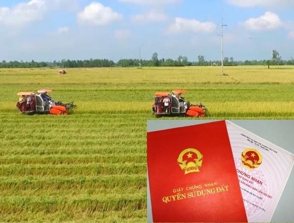 Quy định chi tiết việc người dân chỉ nộp 30% tiền chênh lệch khi chuyển đất nông nghiệp sang đất ở từ 2026- Ảnh 1. Quy định chi tiết việc người dân chỉ nộp 30% tiền chênh lệch khi chuyển đất nông nghiệp sang đất ở từ 2026- Ảnh 1.