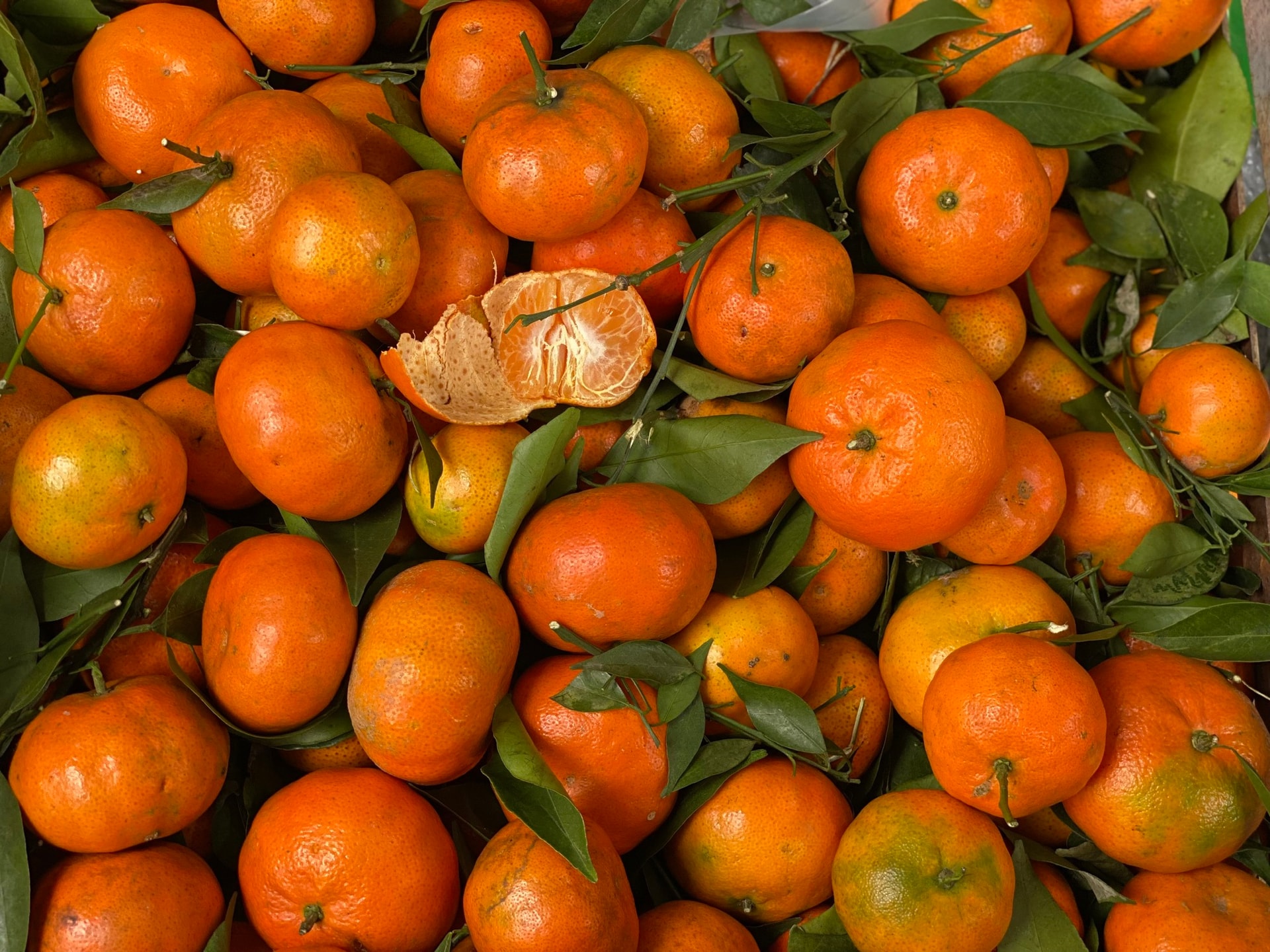 Tiểu thương 'tiết lộ' nguồn gốc thực sự của một loại cam đang bán tràn ngập chợ Việt- Ảnh 1.