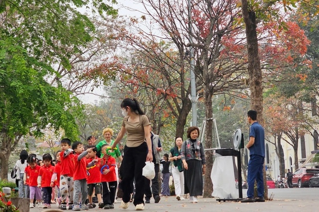 Những dấu hiệu bất thường của mùa đông năm nay- Ảnh 1. Những dấu hiệu bất thường của mùa đông năm nay- Ảnh 1.