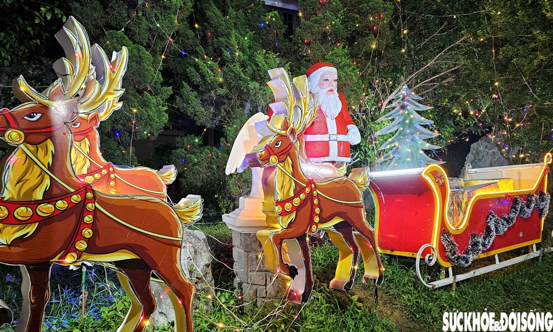 Ngắm nhà thờ lớn ở Huế rực sáng trong ánh đèn dịp Giáng sinh- Ảnh 12.