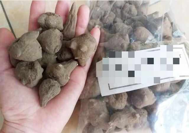 Nhập viện cấp cứu sau 1 giờ ăn củ ấu tàu- Ảnh 1.