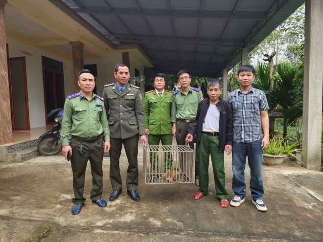 Khỉ vàng quý hiếm đi lạc vào nhà, người dân bắt giữ giao nộp chính quyền- Ảnh 1.