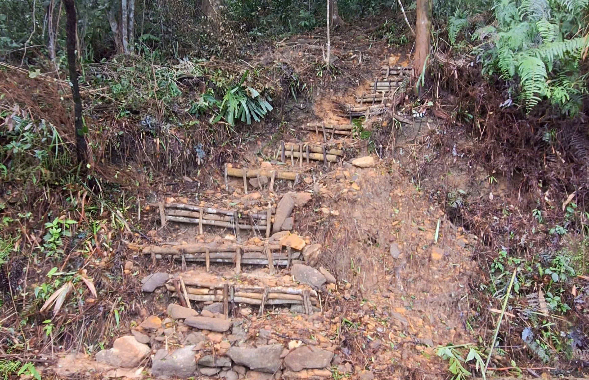 Đường lên đỉnh Bạch Mã bị sạt lở 'xé đôi', công tác bảo vệ rừng gặp khó- Ảnh 4.