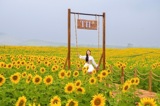 Từ cánh đồng hướng dương đến khát vọng phụng sự vì tầm vóc Việt của TH true MILK- Ảnh 3. Từ cánh đồng hướng dương đến khát vọng phụng sự vì tầm vóc Việt của TH true MILK- Ảnh 3.