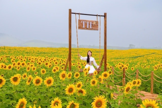 Anh hùng Lao động Thái Hương: Thi đua yêu nước để phụng sự con người- Ảnh 3. Anh hùng Lao động Thái Hương: Thi đua yêu nước để phụng sự con người- Ảnh 3.