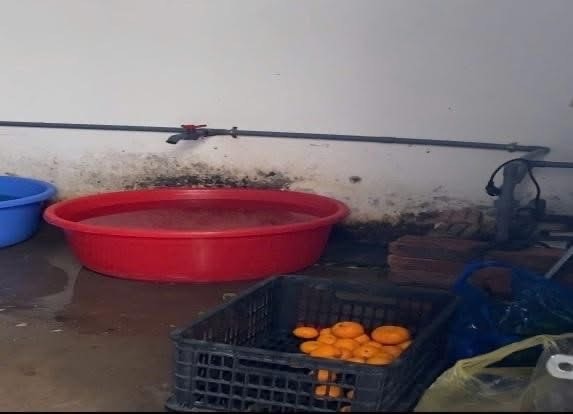 Giữa Hà Nội, dùng xe bò 'cải tiến' chở cơm cho học sinh bán trú- Ảnh 1.