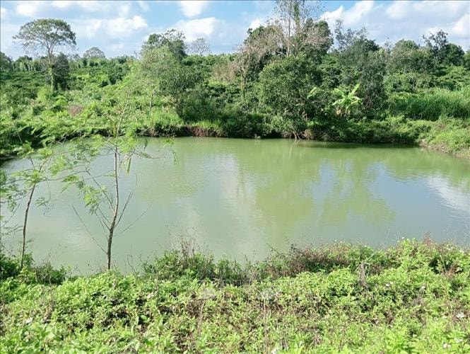 Rủ nhau đi tắm hồ, 3 em nhỏ bị đuối nước thương tâm- Ảnh 1. Rủ nhau đi tắm hồ, 3 em nhỏ bị đuối nước thương tâm- Ảnh 1.