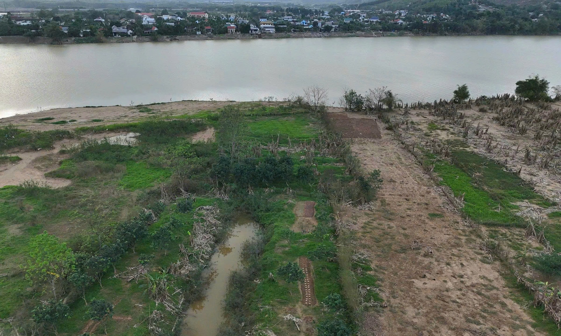 Xác xơ những khu vườn trồng đặc sản 'tiến vua' ở Huế sau lũ- Ảnh 10.