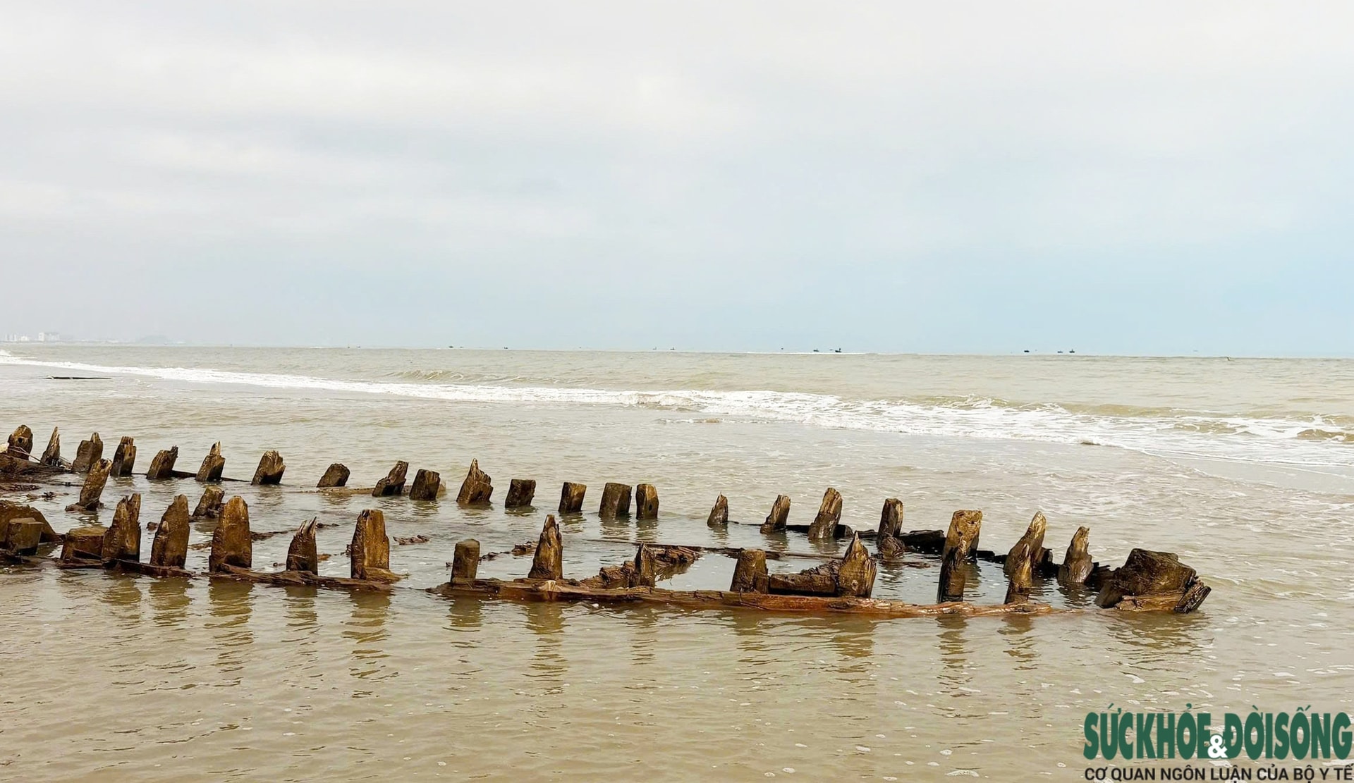 Cận cảnh tàu cổ hàng trăm năm tuổi nhiều lần xuất lộ rồi lại bồi lấp- Ảnh 7.