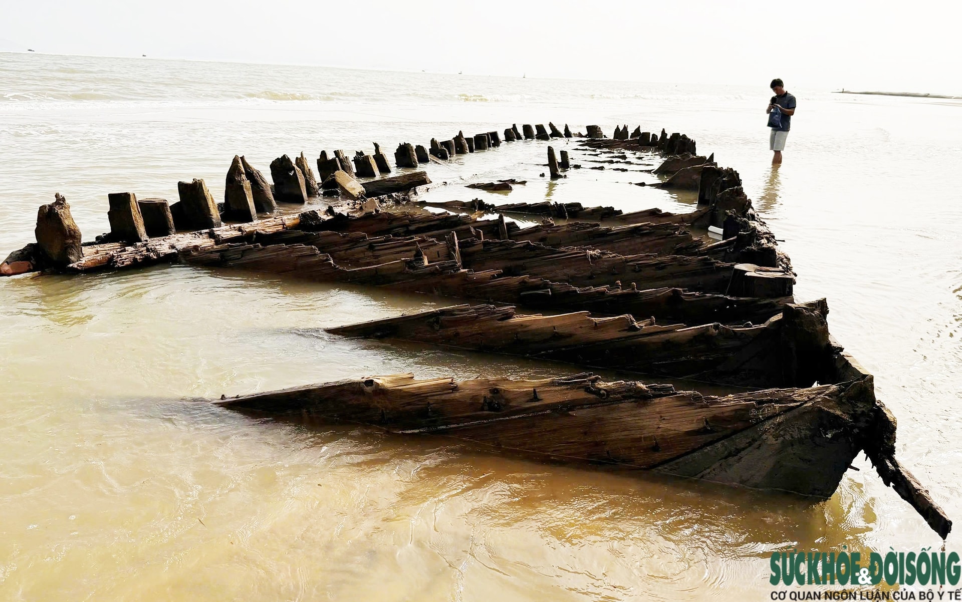 Cận cảnh tàu cổ hàng trăm năm tuổi nhiều lần xuất lộ rồi lại bồi lấp- Ảnh 9.