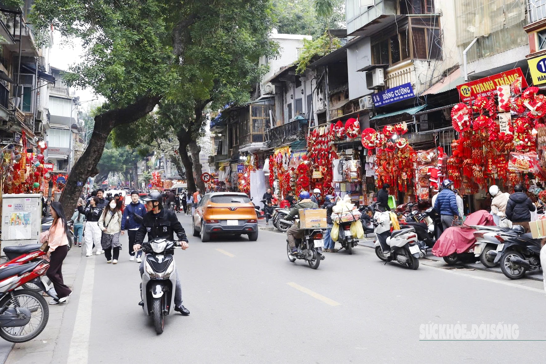 Linh vật ngựa 'phủ kín' phố Hàng Mã đón năm mới 2026- Ảnh 1. Linh vật ngựa 'phủ kín' phố Hàng Mã đón năm mới 2026- Ảnh 1.