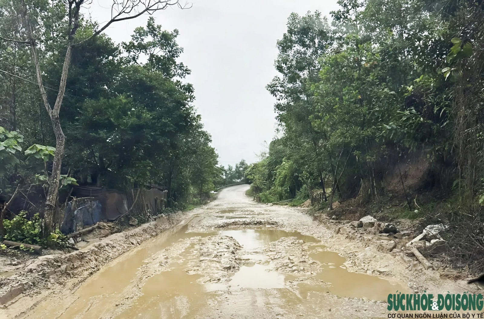 Cận cảnh Quốc lộ 14D 'nát như tương', Đà Nẵng chi hơn 4.500 tỷ đồng nâng cấp, cải tạo- Ảnh 2.