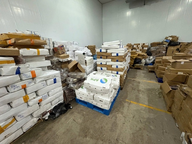 TPHCM: Phát hiện kho chứa hơn 30 tấn nội tạng động vật không nguồn gốc- Ảnh 1.