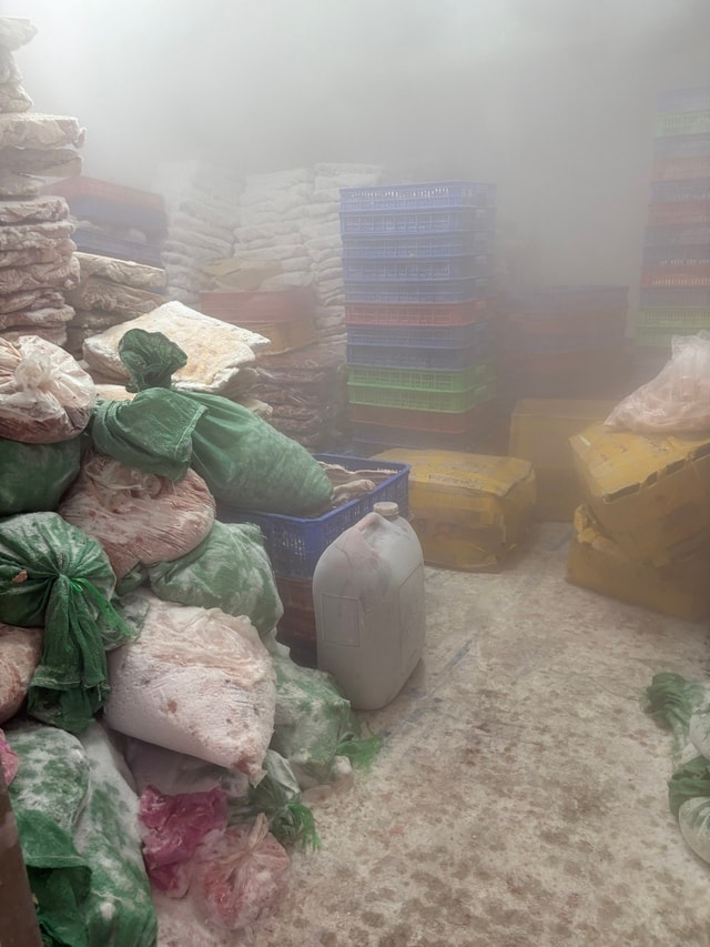 TPHCM: Phát hiện kho chứa hơn 30 tấn nội tạng động vật không nguồn gốc- Ảnh 7.