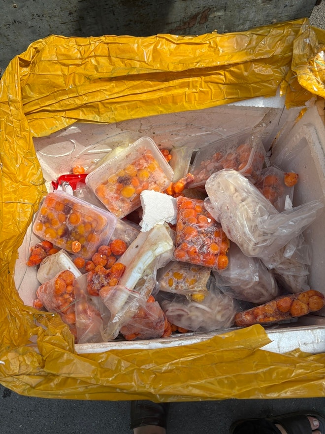 TPHCM: Phát hiện kho chứa hơn 30 tấn nội tạng động vật không nguồn gốc- Ảnh 2.