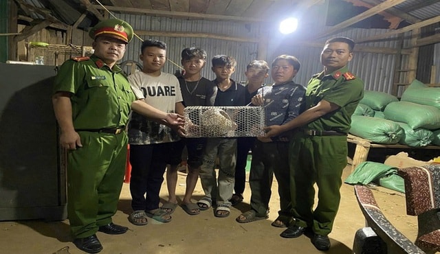 Nhiều động vật hoang dã nguy cấp được người dân tự nguyện giao nộp, thả về tự nhiên- Ảnh 2.