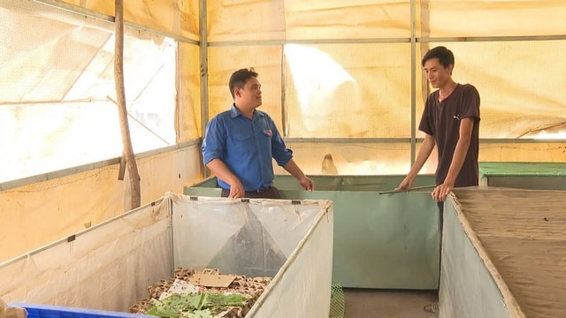 Thanh niên ở Lâm Đồng 'đổi hướng' làm kinh tế nông thôn với nghề 'độc, lạ'- Ảnh 1. Thanh niên ở Lâm Đồng 'đổi hướng' làm kinh tế nông thôn với nghề 'độc, lạ'- Ảnh 1.