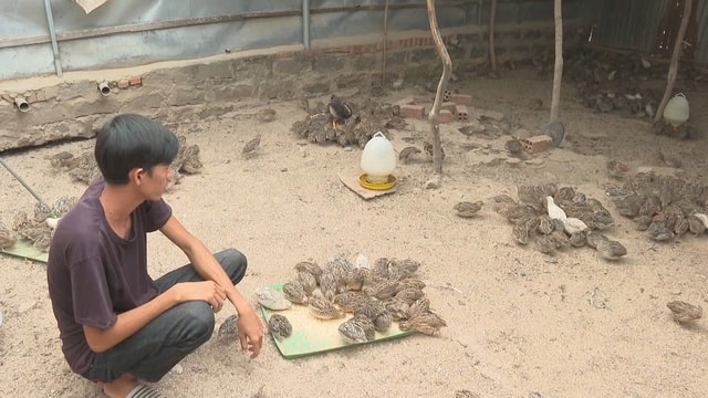 Thanh niên ở Lâm Đồng 'đổi hướng' làm kinh tế nông thôn với nghề 'độc, lạ'- Ảnh 2. Thanh niên ở Lâm Đồng 'đổi hướng' làm kinh tế nông thôn với nghề 'độc, lạ'- Ảnh 2.