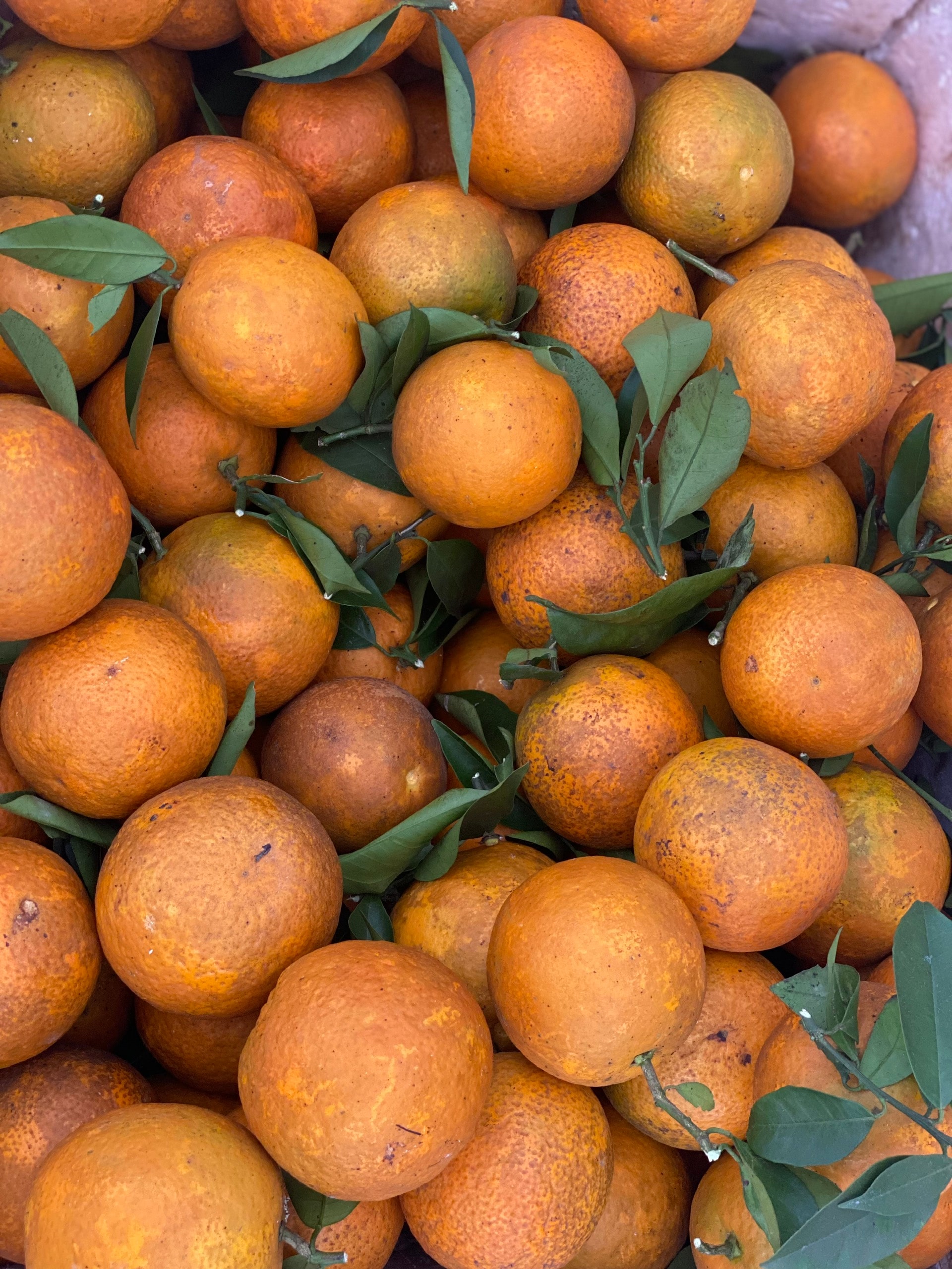 Một loại cam Việt vào mùa giá rẻ chỉ hơn chục nghìn đồng/kg, tiểu thương nhập hàng tạ mỗi ngày phục vụ khách quý- Ảnh 4.