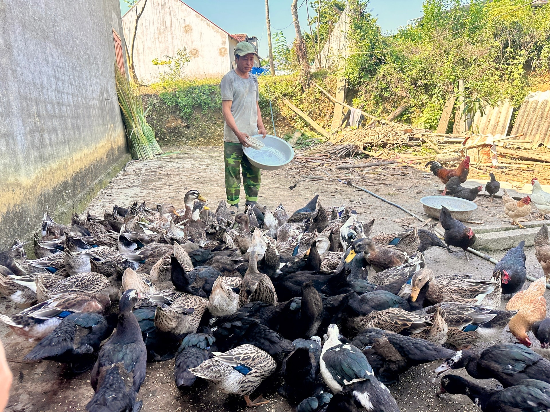 Vịt bầu Quỳ Châu quý hiếm được săn lùng- Ảnh 5.