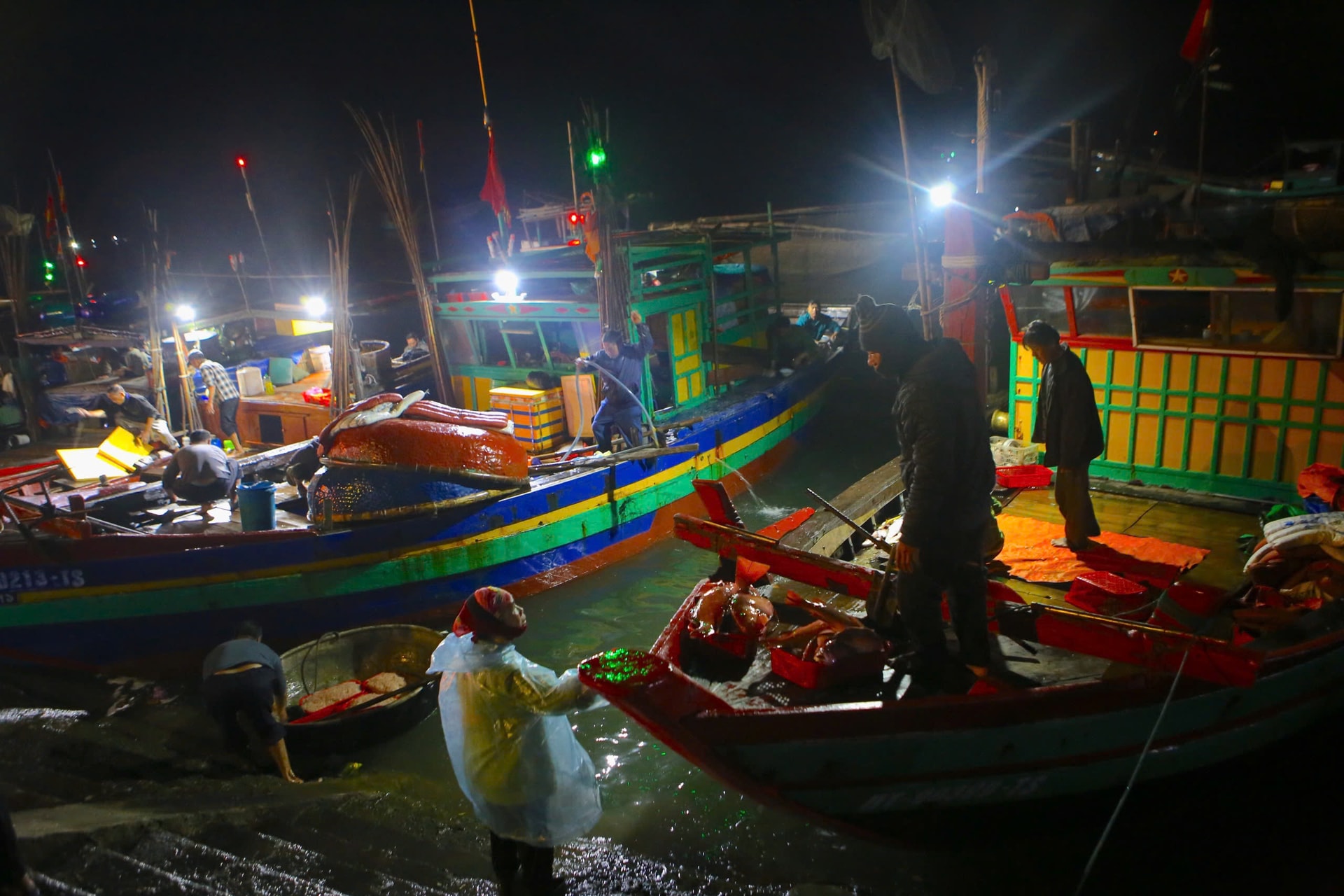 Ngư dân phấn khởi trúng đậm hải sản đầu năm mới- Ảnh 2.