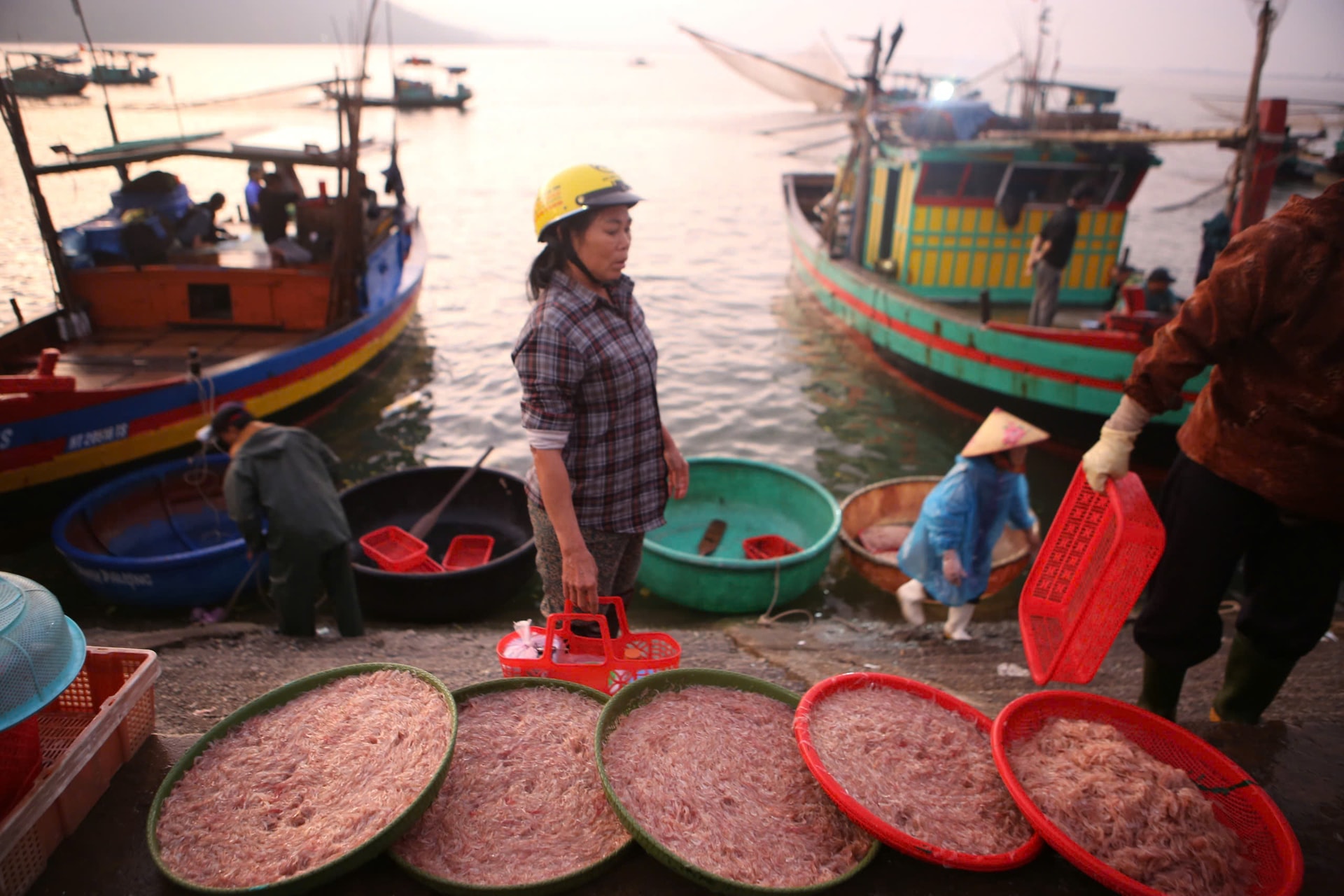 Ngư dân phấn khởi trúng đậm hải sản đầu năm mới- Ảnh 11.