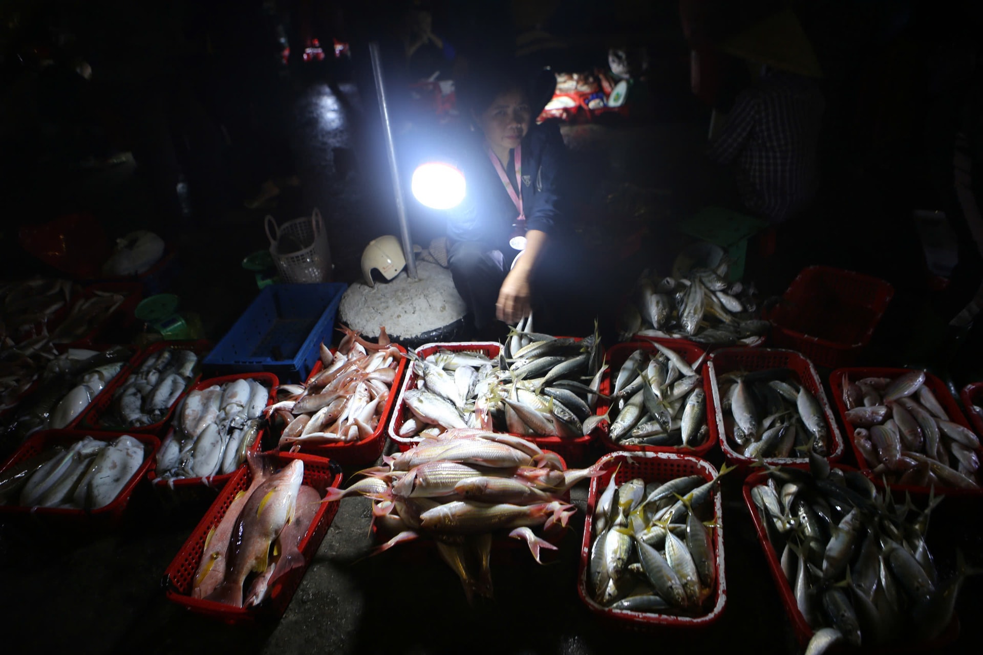 Ngư dân phấn khởi trúng đậm hải sản đầu năm mới- Ảnh 5.