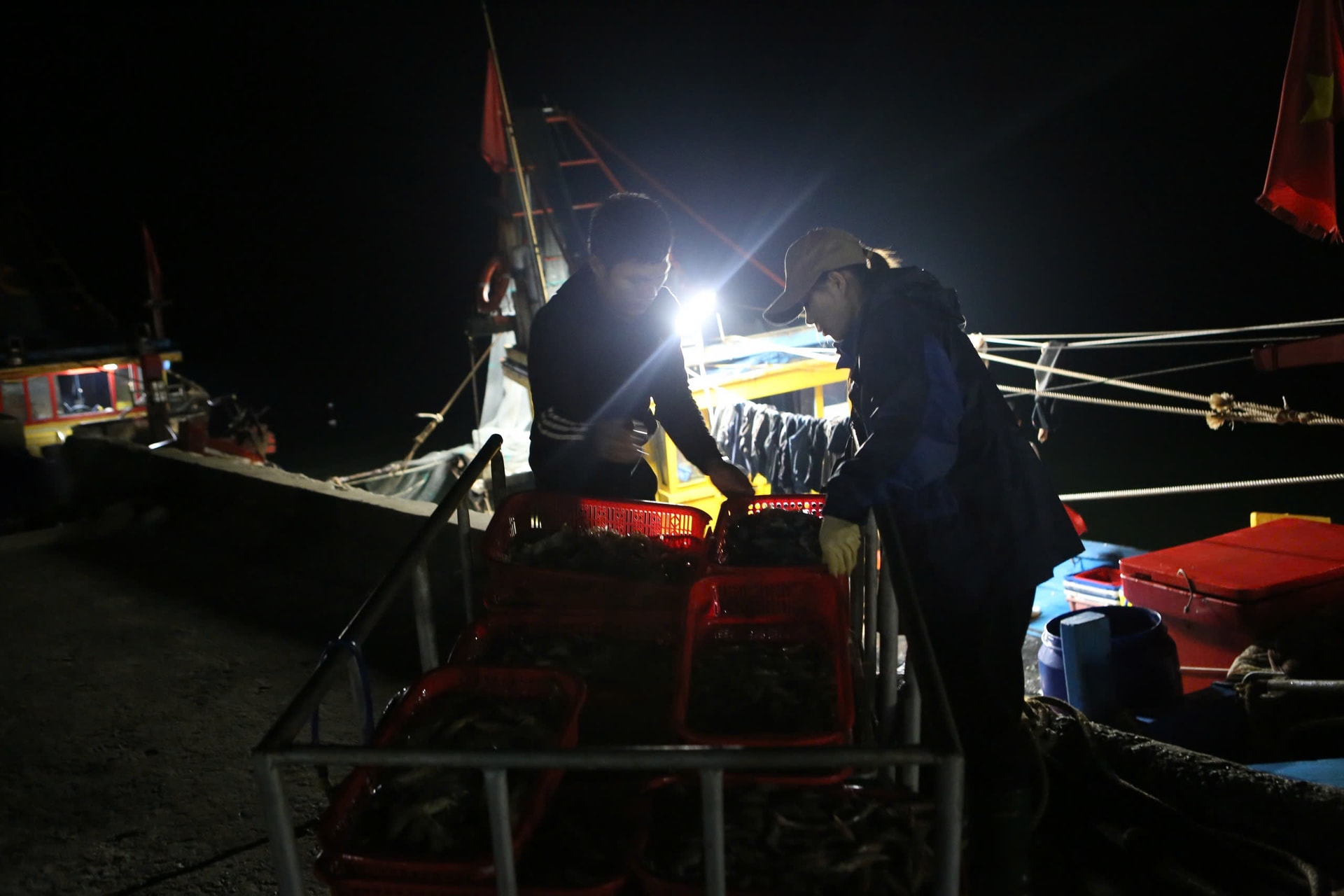 Ngư dân phấn khởi trúng đậm hải sản đầu năm mới- Ảnh 4.