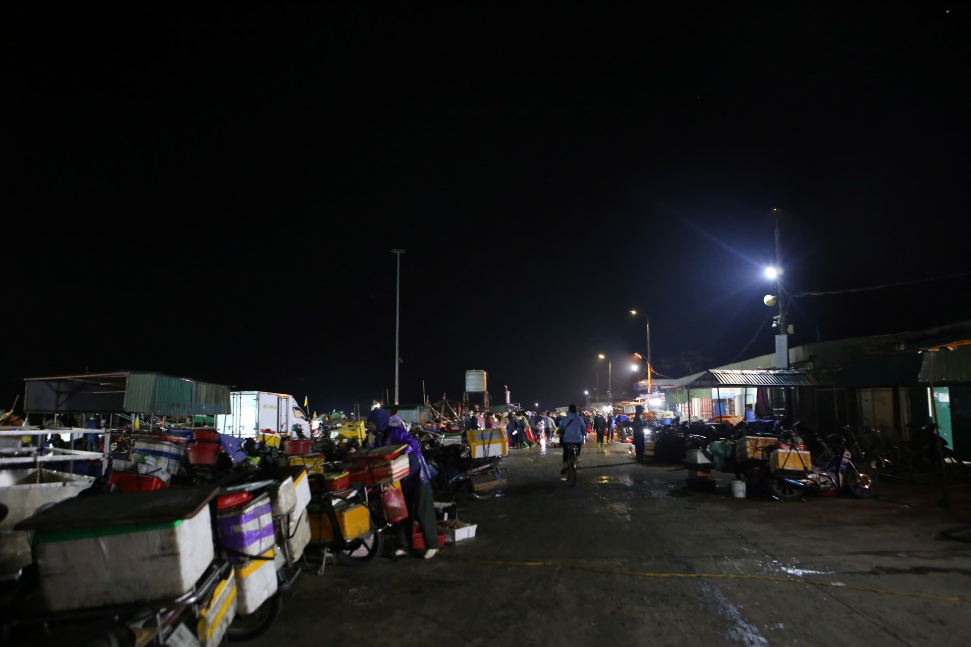 Ngư dân phấn khởi trúng đậm hải sản đầu năm mới- Ảnh 10.