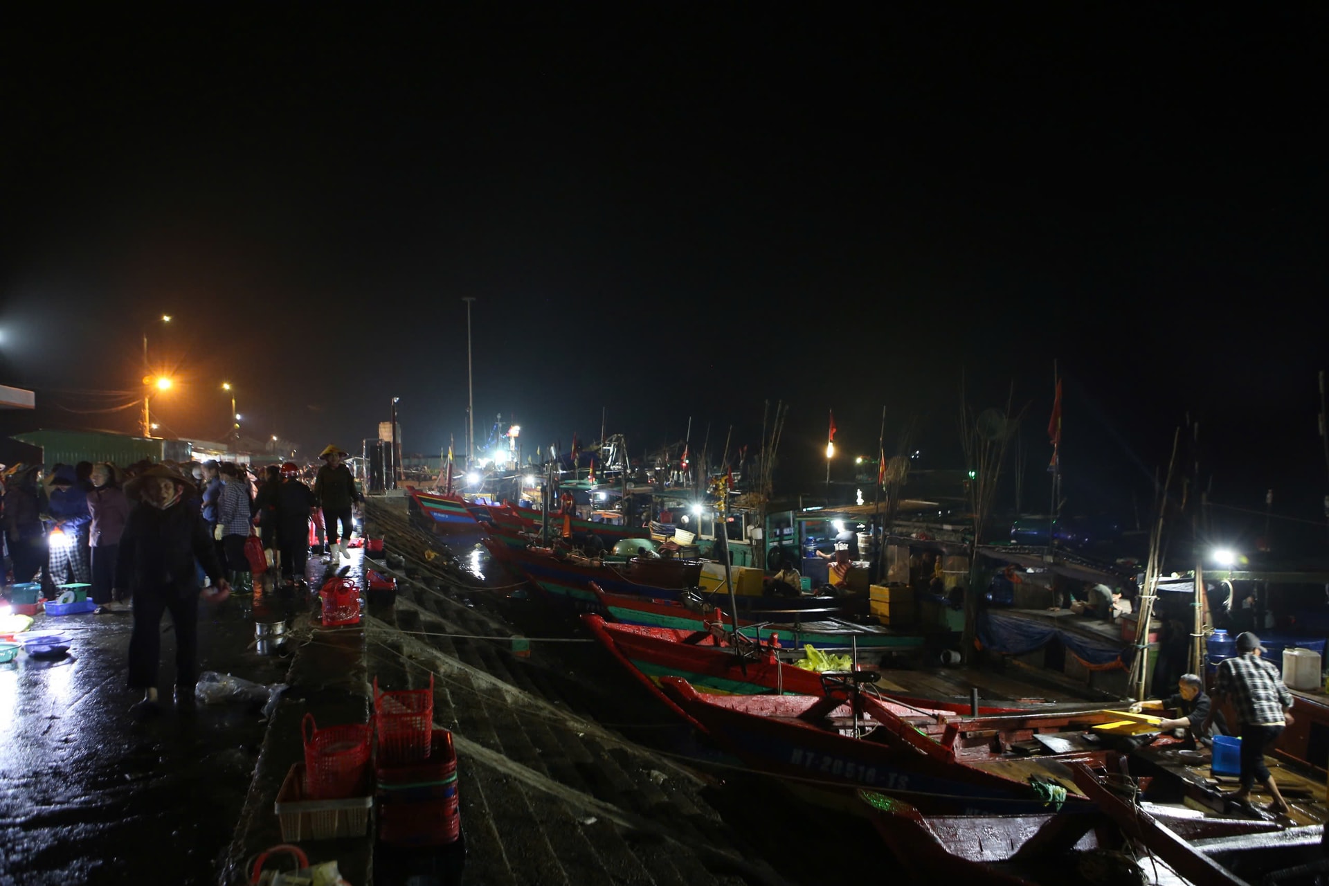 Ngư dân phấn khởi trúng đậm hải sản đầu năm mới- Ảnh 3.