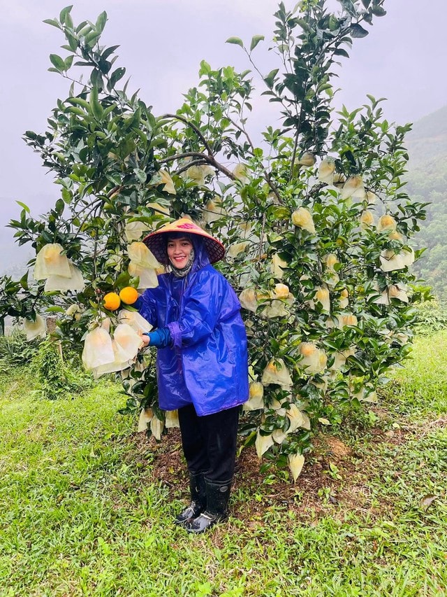 'Thủ phủ' cam Hà Tĩnh đỏ rực chờ Tết- Ảnh 3.