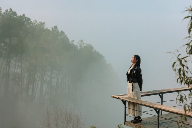 Vườn hồng cổ thụ hút khách chụp ảnh mùa quả chín- Ảnh 3.