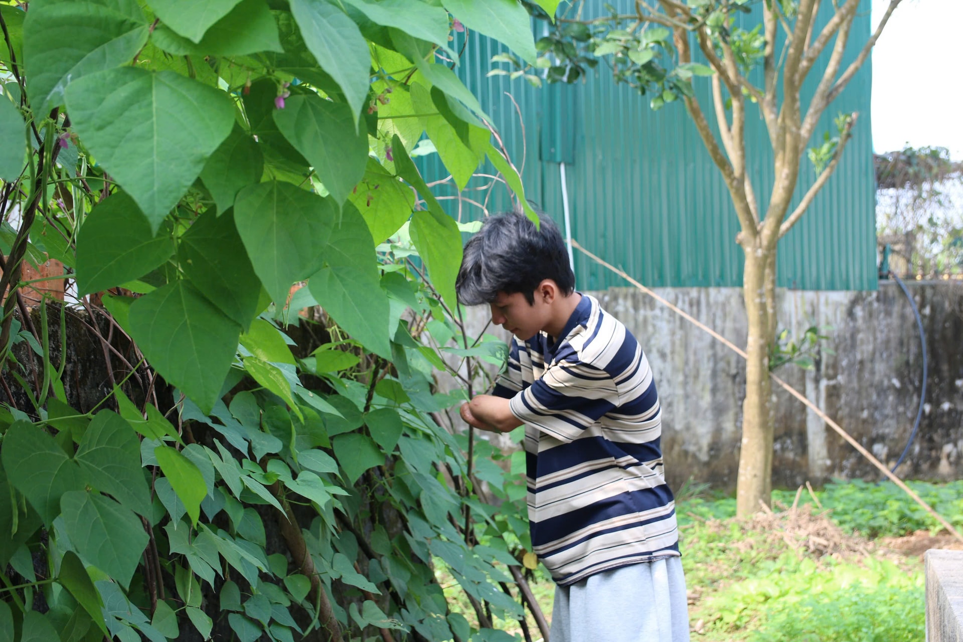 Chàng trai mồ côi mất 2 tay lập kênh TikTok truyền nghị lực sống- Ảnh 2.