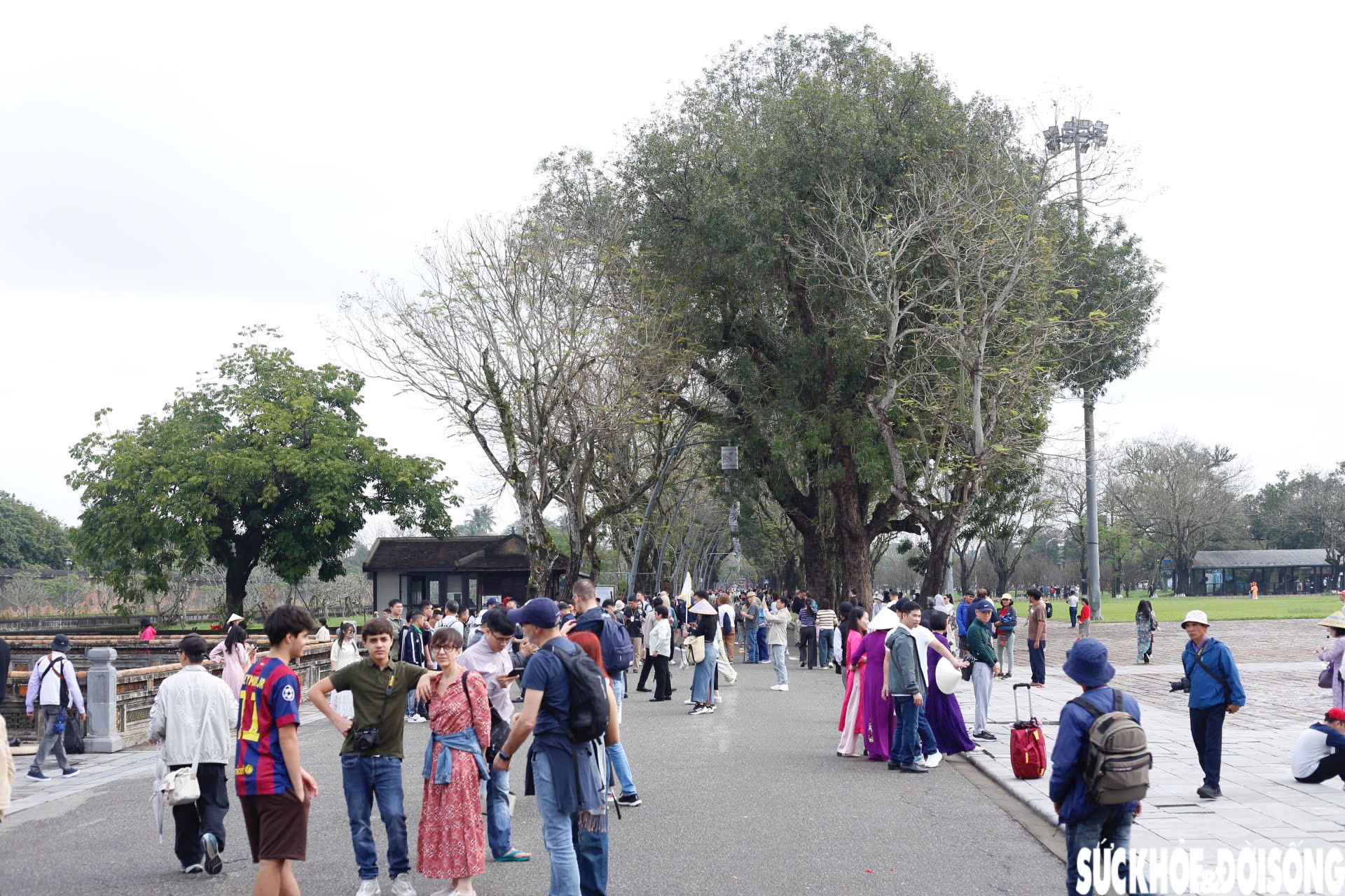 Du khách nước ngoài thích thú tham quan di tích Huế dịp Tết Dương lịch- Ảnh 1.