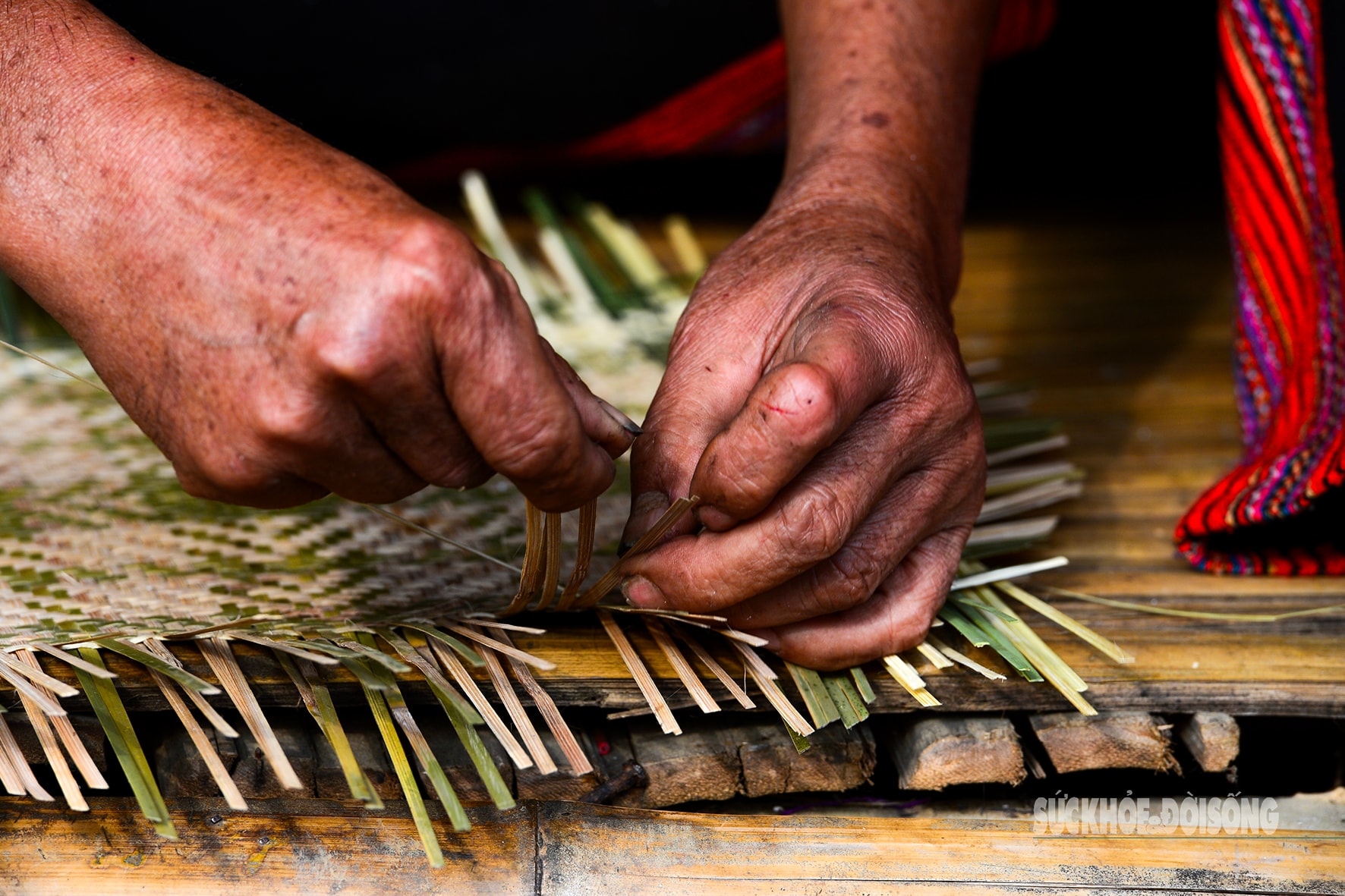 'Hồn tre' giữ nhịp thở đại ngàn- Ảnh 4.