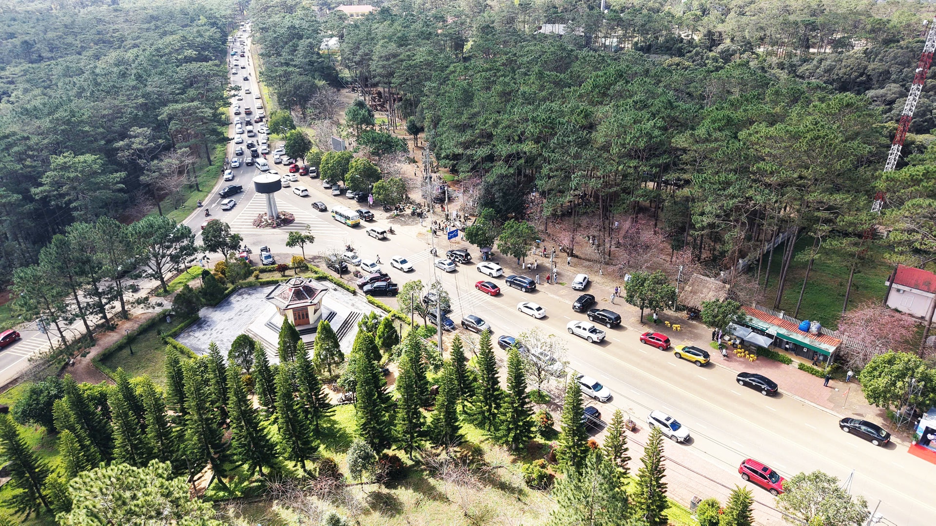 Mãn nhãn với sắc hoa anh đào đang nở rộ ở Măng Đen - Ảnh 1. Mãn nhãn với sắc hoa anh đào đang nở rộ ở Măng Đen - Ảnh 1.