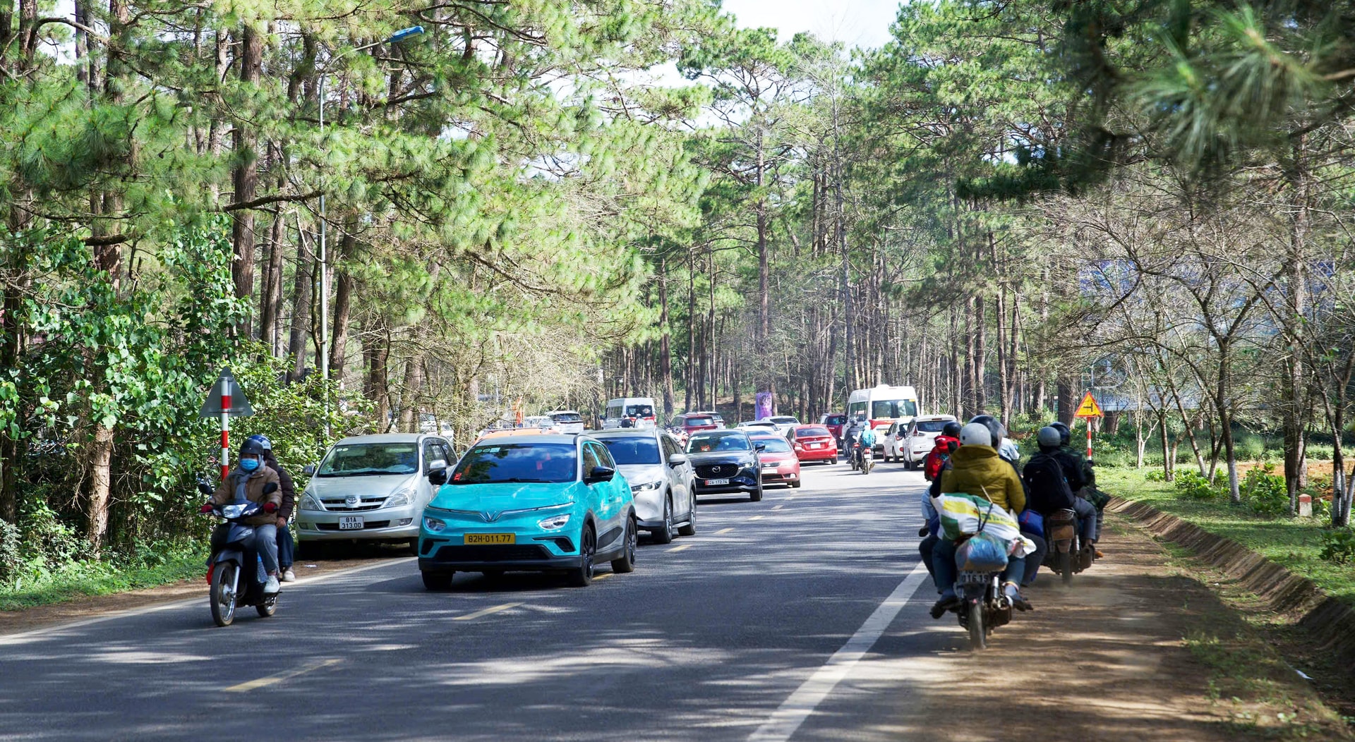 Mãn nhãn với sắc hoa anh đào đang nở rộ ở Măng Đen - Ảnh 2. Mãn nhãn với sắc hoa anh đào đang nở rộ ở Măng Đen - Ảnh 2.