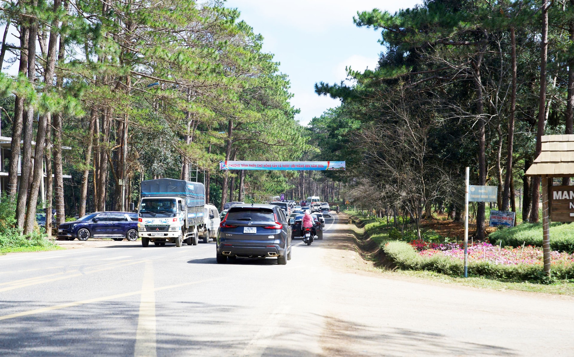 Mãn nhãn với sắc hoa anh đào đang nở rộ ở Măng Đen - Ảnh 3. Mãn nhãn với sắc hoa anh đào đang nở rộ ở Măng Đen - Ảnh 3.