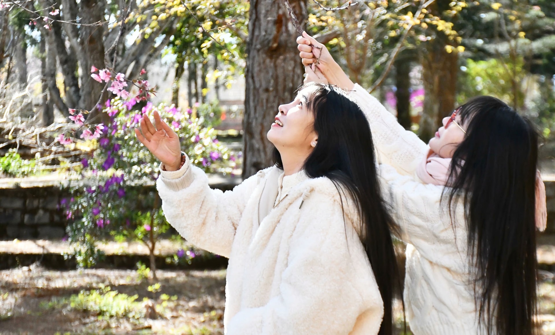 Mãn nhãn với sắc hoa anh đào đang nở rộ ở Măng Đen - Ảnh 8. Mãn nhãn với sắc hoa anh đào đang nở rộ ở Măng Đen - Ảnh 8.