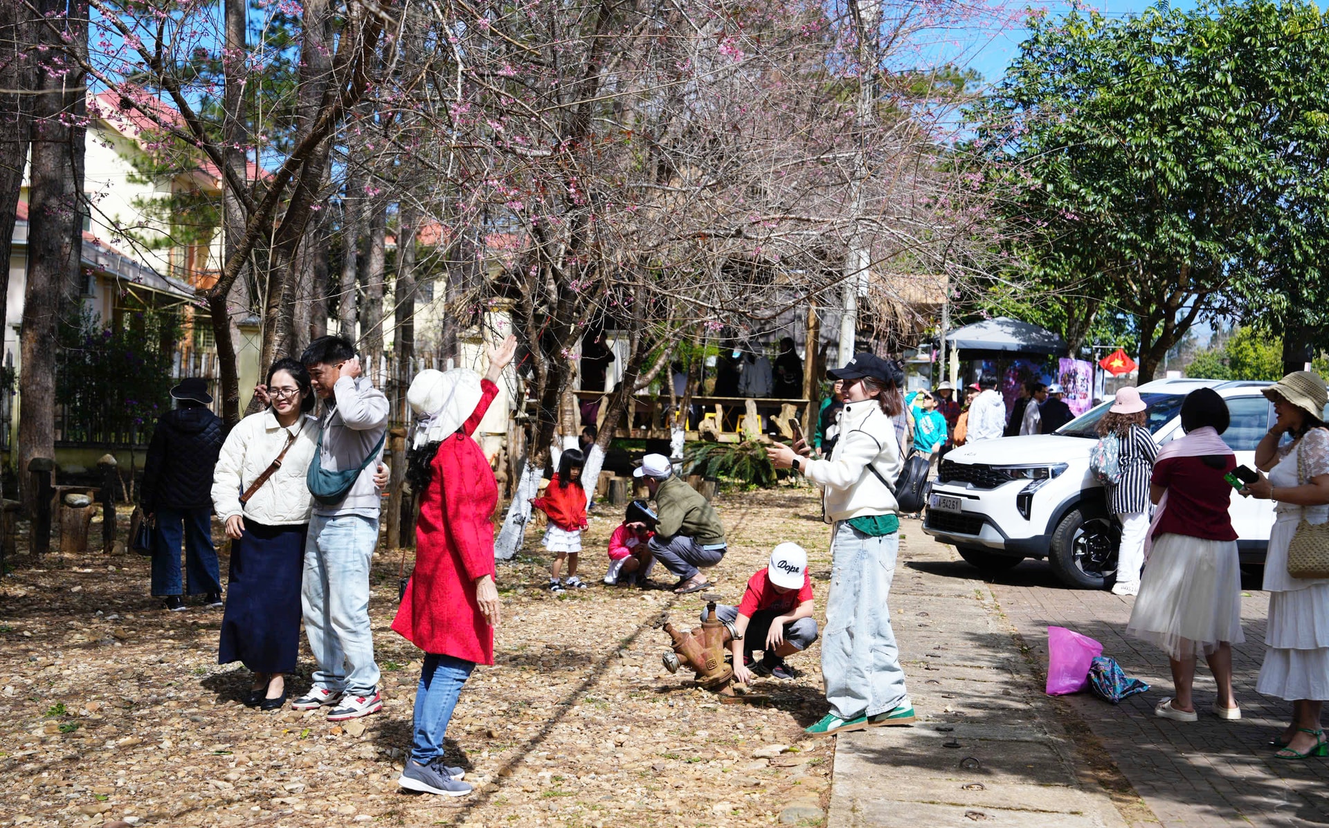 Mãn nhãn với sắc hoa anh đào đang nở rộ ở Măng Đen - Ảnh 9. Mãn nhãn với sắc hoa anh đào đang nở rộ ở Măng Đen - Ảnh 9.
