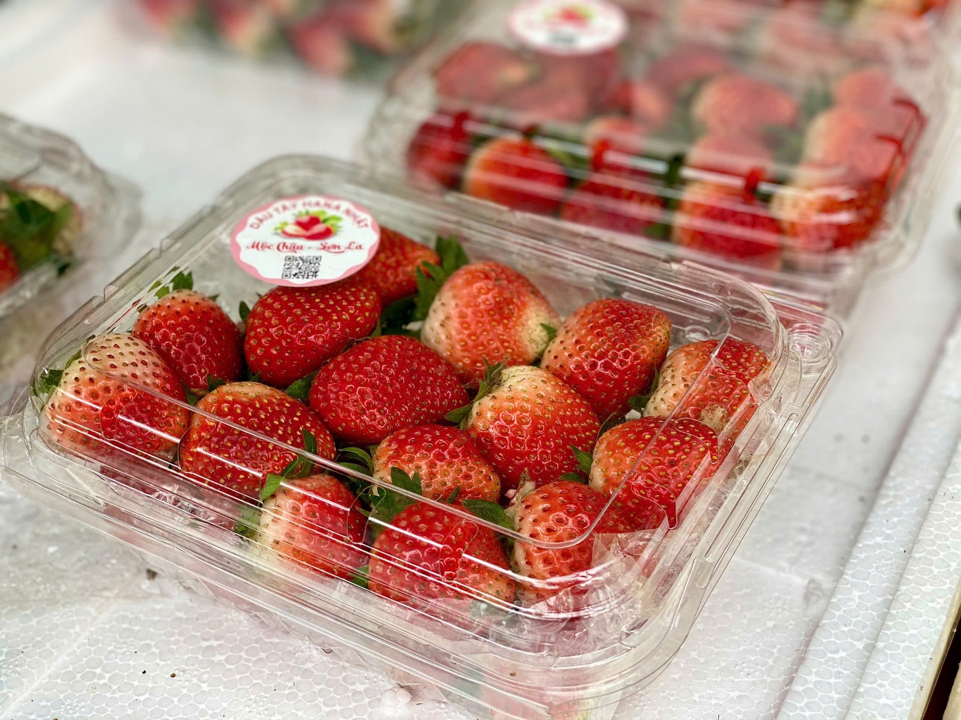 Tiểu thương lý giải nguyên nhân giá dâu tây Mộc Châu lên tới nửa triệu đồng/kg- Ảnh 4.