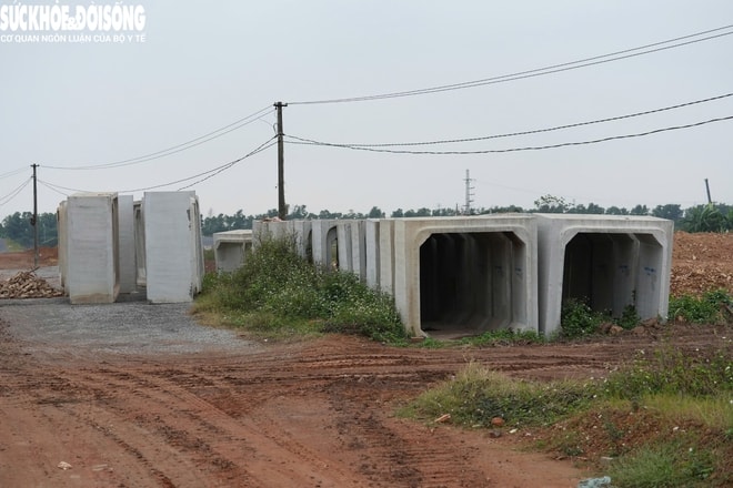 Diện mạo đường Vành đai 4 sau hơn 3 năm thi công- Ảnh 6.