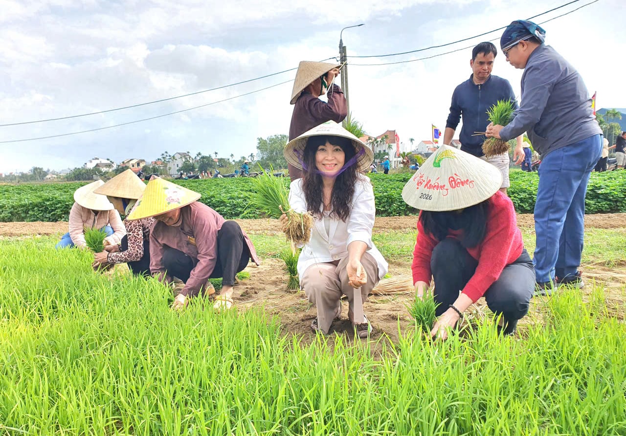 Du khách quốc tế thích thú trải nghiệm nhổ mạ, cấy lúa ở Hội An- Ảnh 10. Du khách quốc tế thích thú trải nghiệm nhổ mạ, cấy lúa ở Hội An- Ảnh 10.