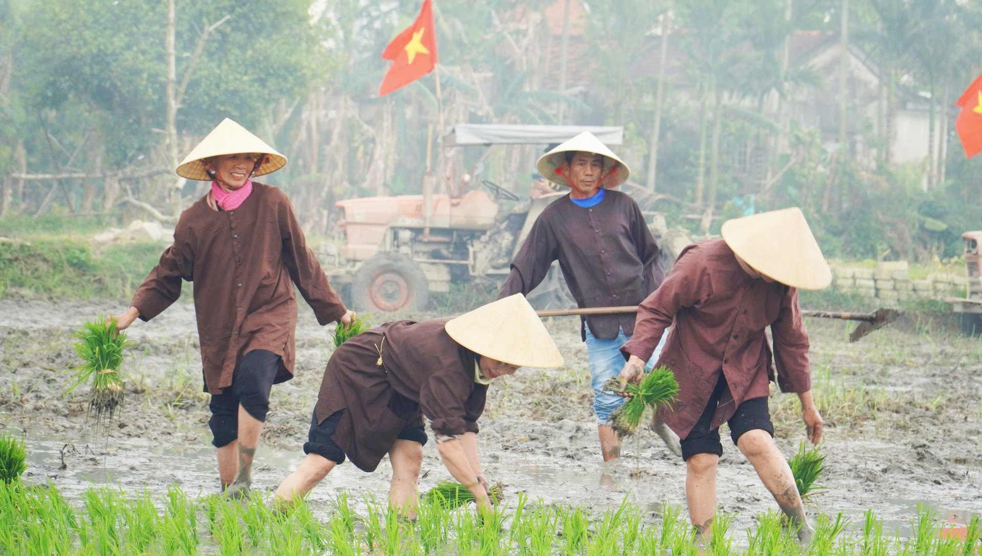 Du khách quốc tế thích thú trải nghiệm nhổ mạ, cấy lúa ở Hội An- Ảnh 11. Du khách quốc tế thích thú trải nghiệm nhổ mạ, cấy lúa ở Hội An- Ảnh 11.