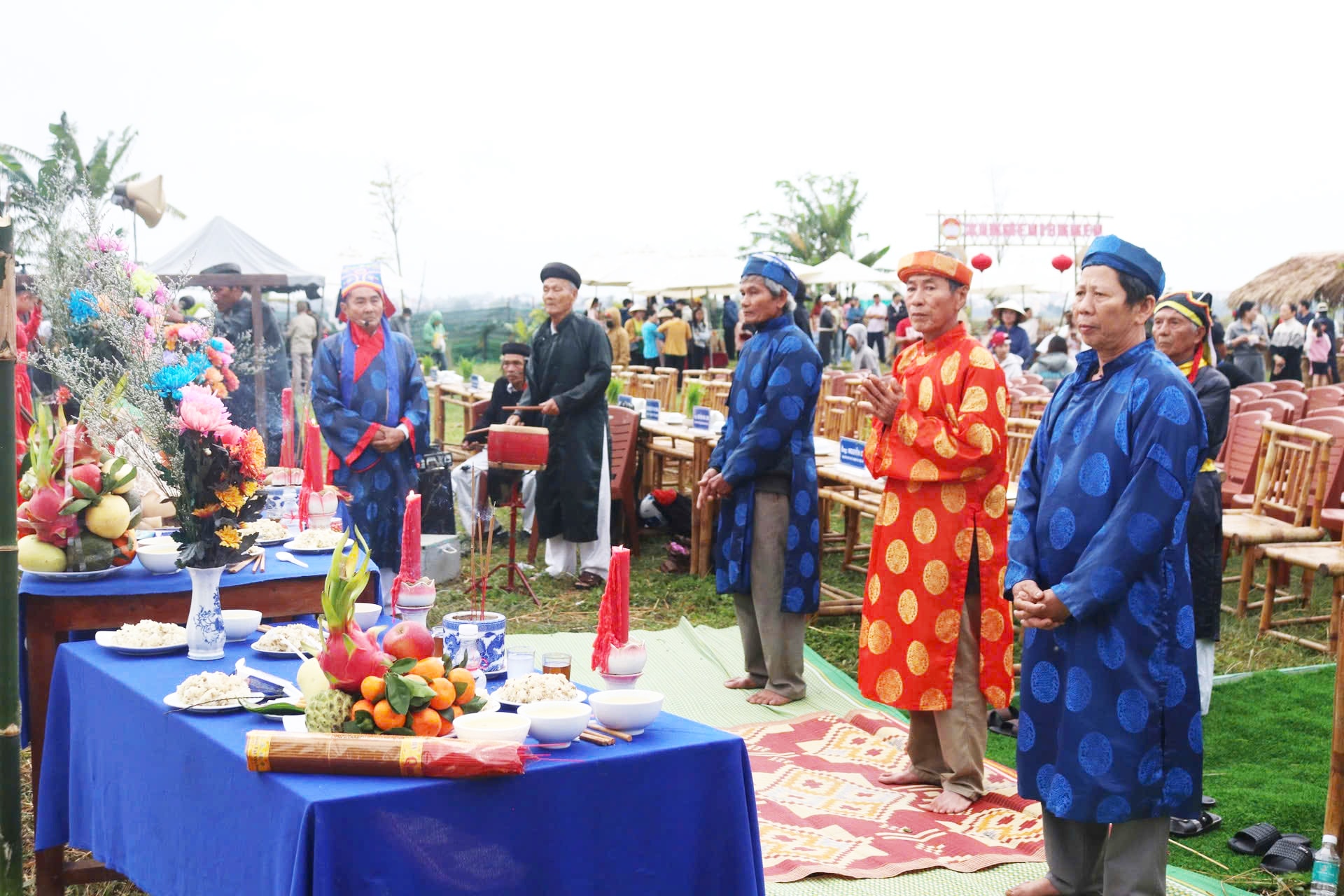 Du khách quốc tế thích thú trải nghiệm nhổ mạ, cấy lúa ở Hội An- Ảnh 5. Du khách quốc tế thích thú trải nghiệm nhổ mạ, cấy lúa ở Hội An- Ảnh 5.